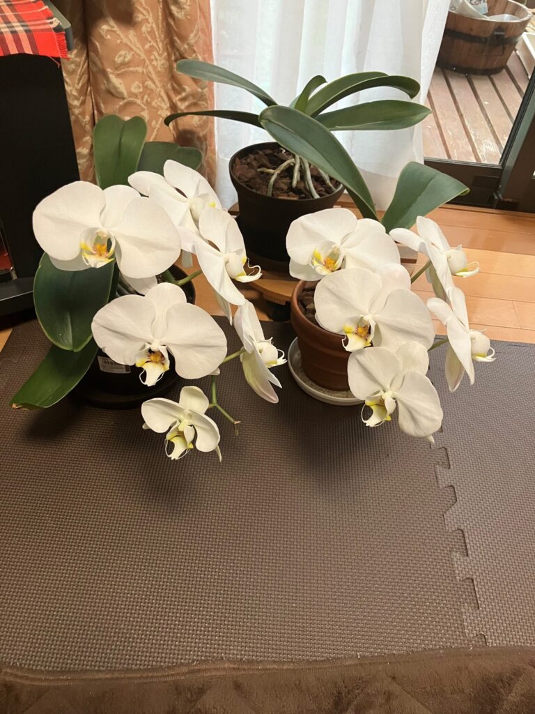 技術開発部配送課　59