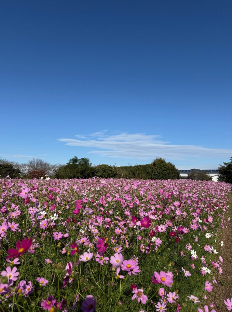 総務のつぶやき　第489回