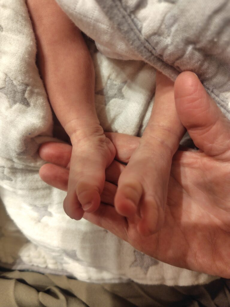 総務のつぶやき　第494回