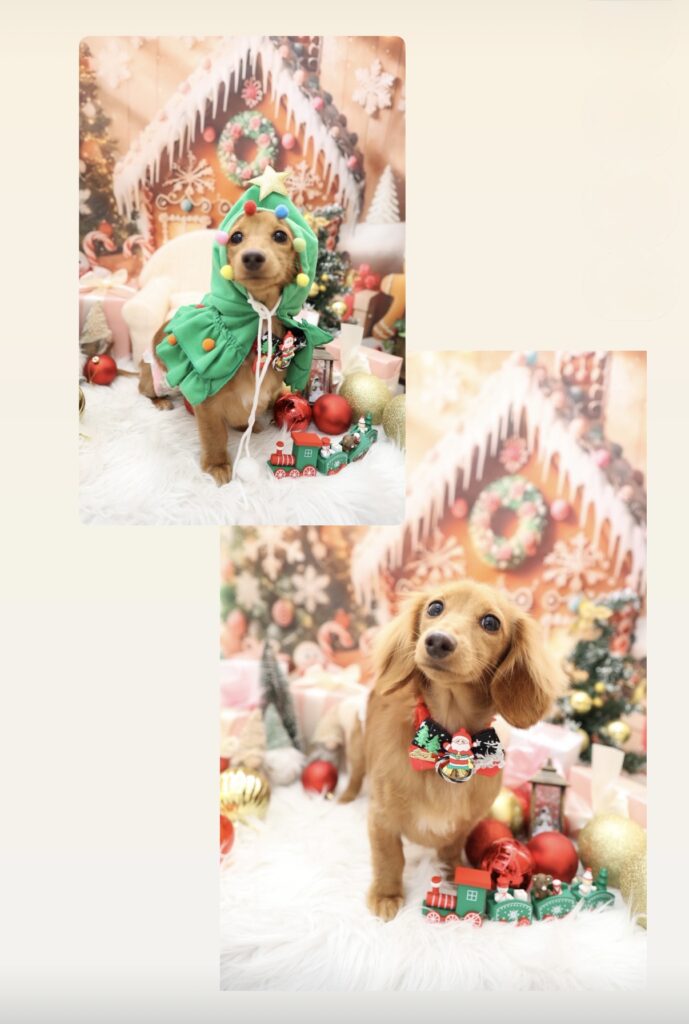 総務のつぶやき　第496回