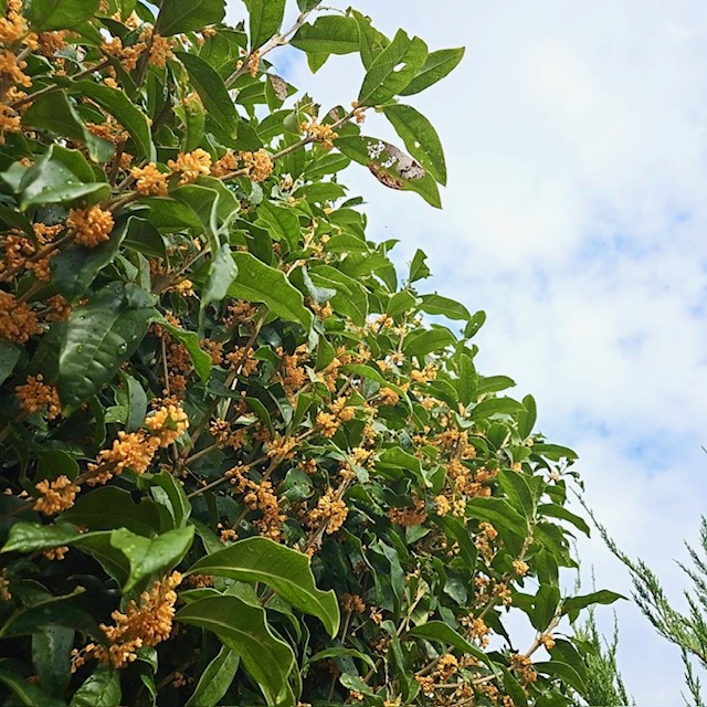 総務のつぶやき　第493回