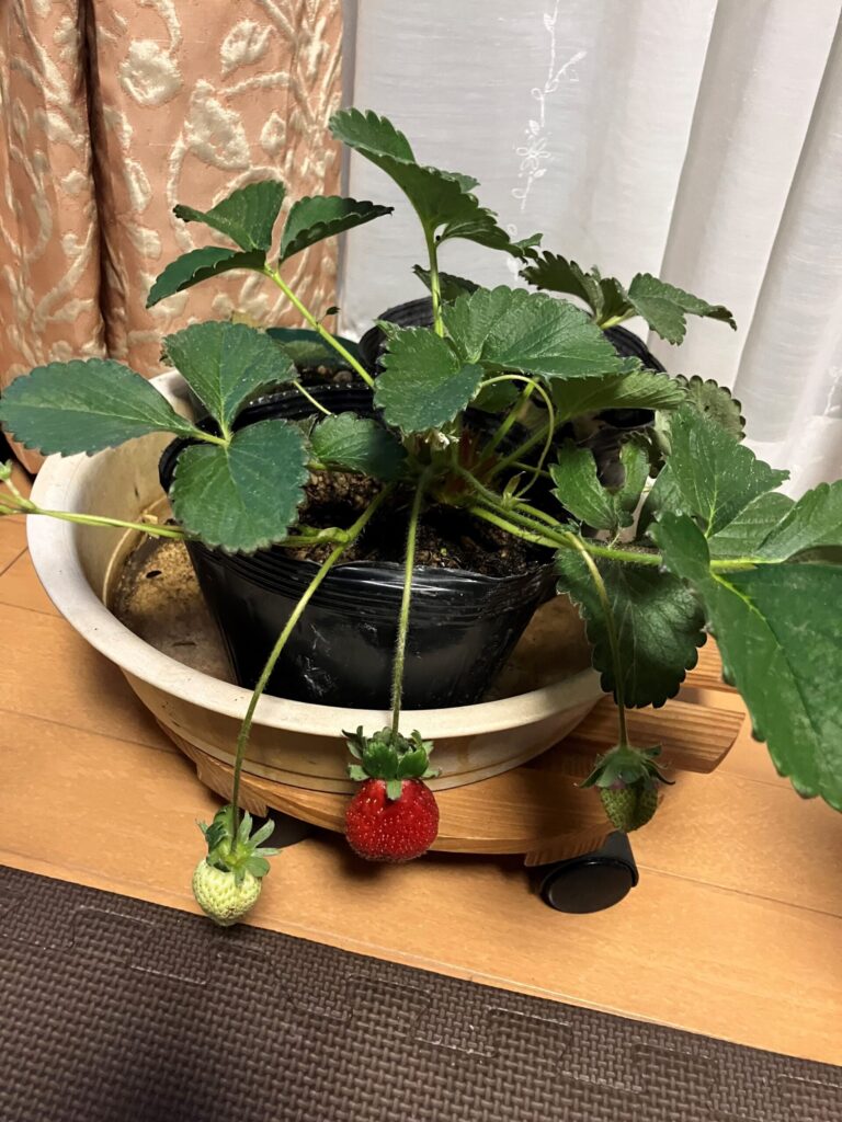 技術開発部配送課　63